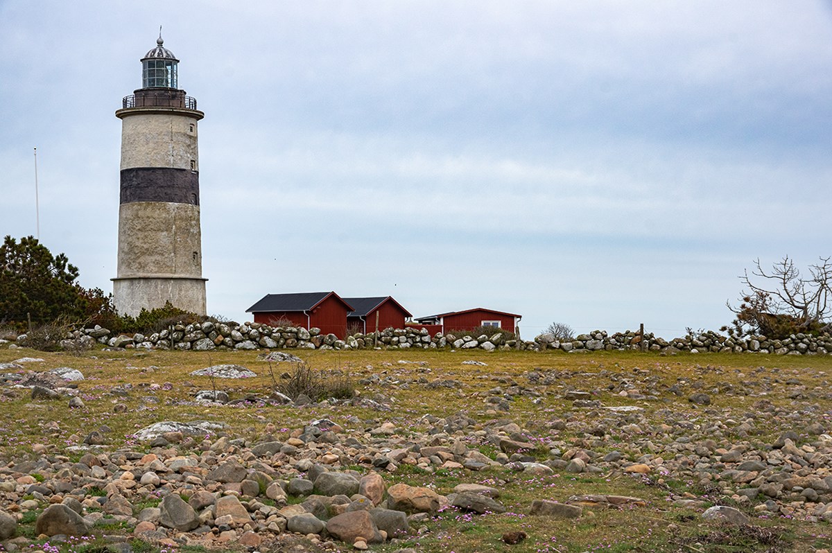 Foto: Mostphotos, Håkan Bewert Morups Tånge