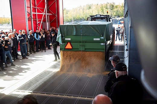 I samband med invigningen togs den första leveransen av spannmål emot från en gård i närliggande Gimo. Foto: Johan Olsson, Lantmännen. En traktor tömmer släpet på spannmål som rinner ut på golvet i spannmålsanläggningen.