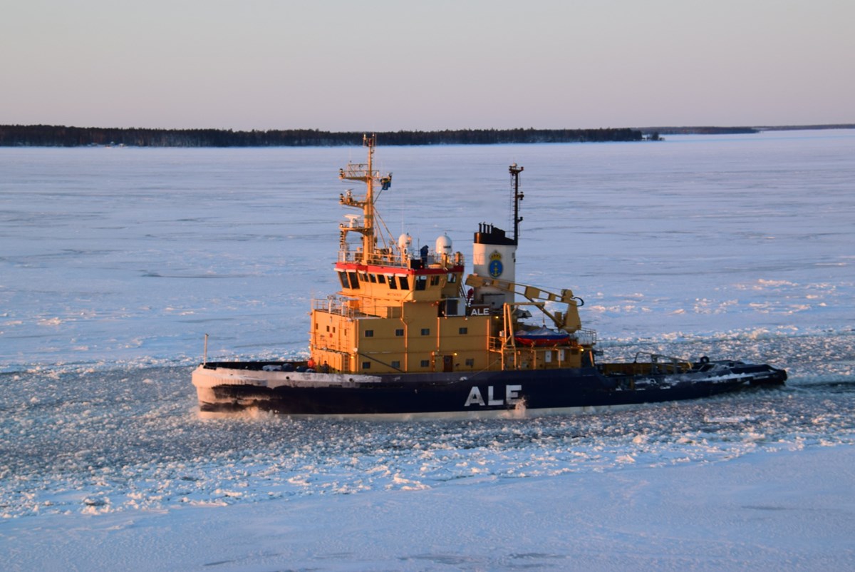 Icebreaker Ale