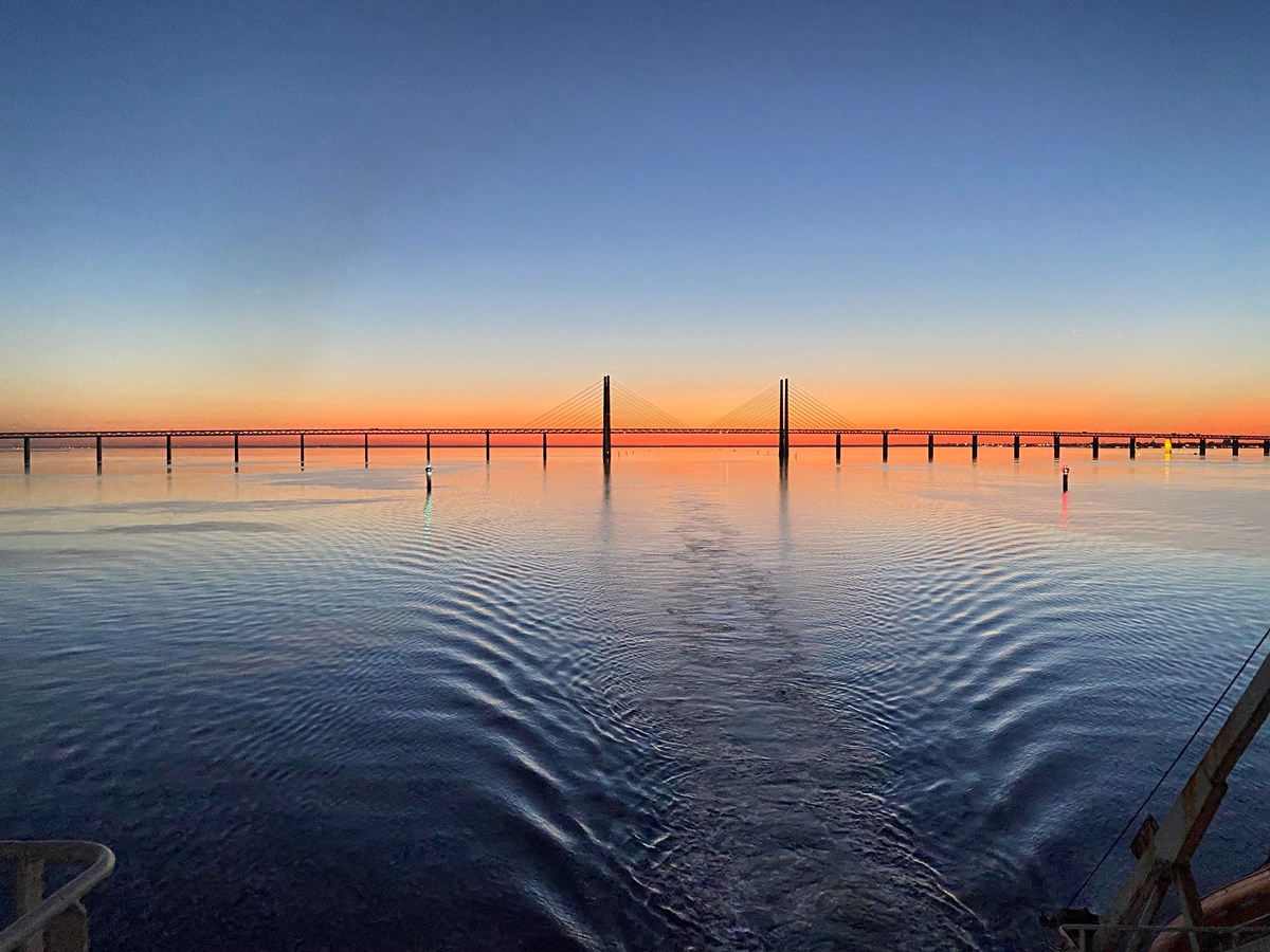 Öresund bridge at dawn
