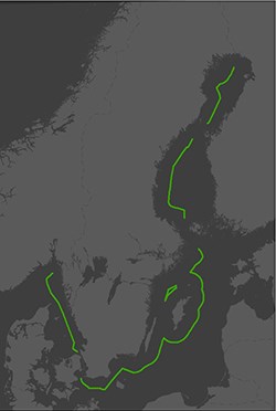 Angränsande zonen