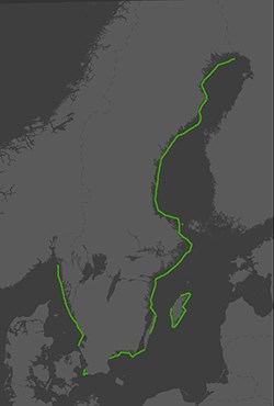 Baslinjer Baslinjer