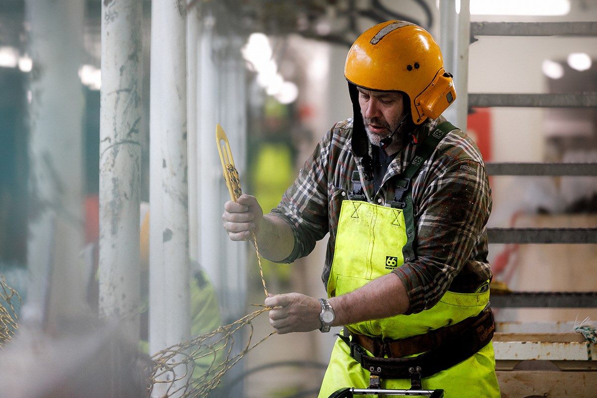 A fisherman in helmet is working with a fishing net