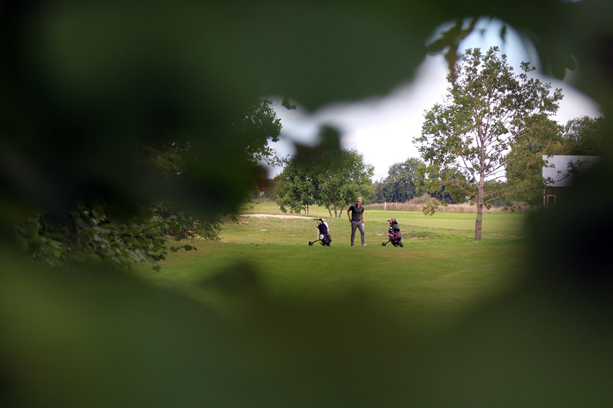 Golfare fotograferad genom lövverk