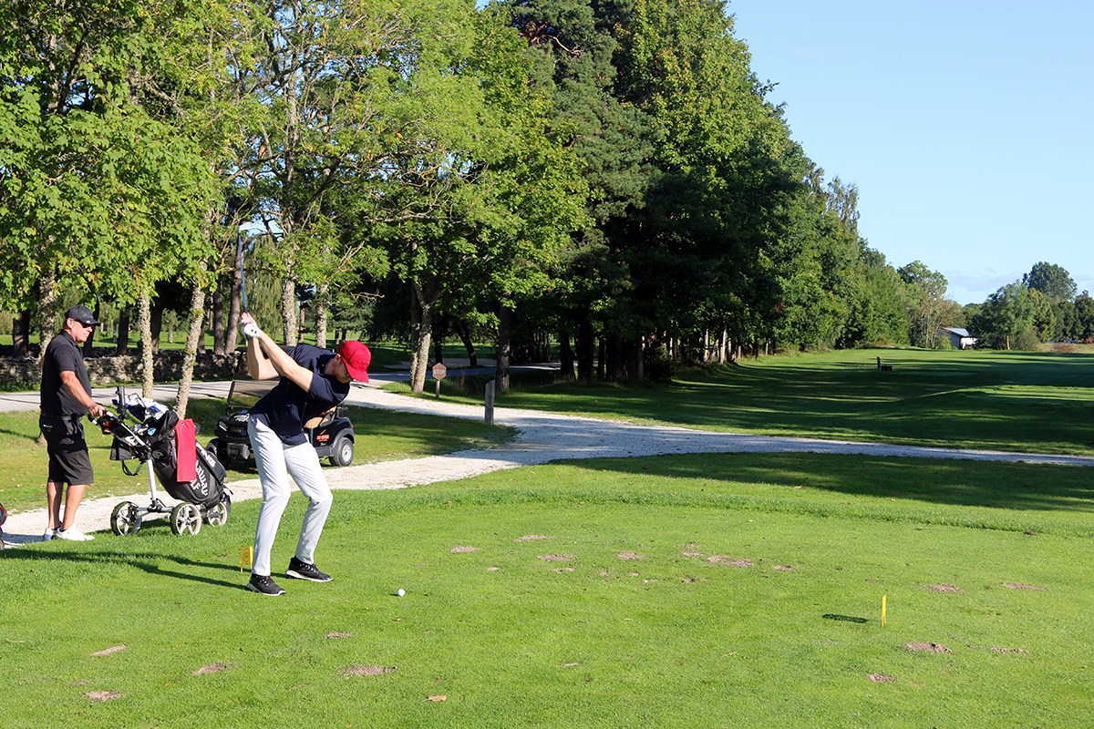 Golfare svingar Golfare svingar