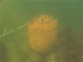 Photo of an old mine from a divers perspective